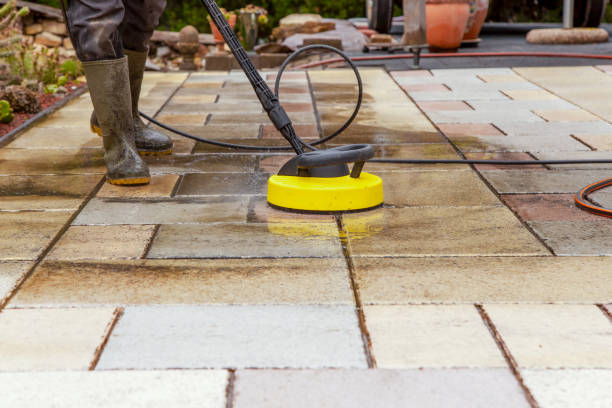Reliable Alamo, TX Pressure Washing Services Solutions